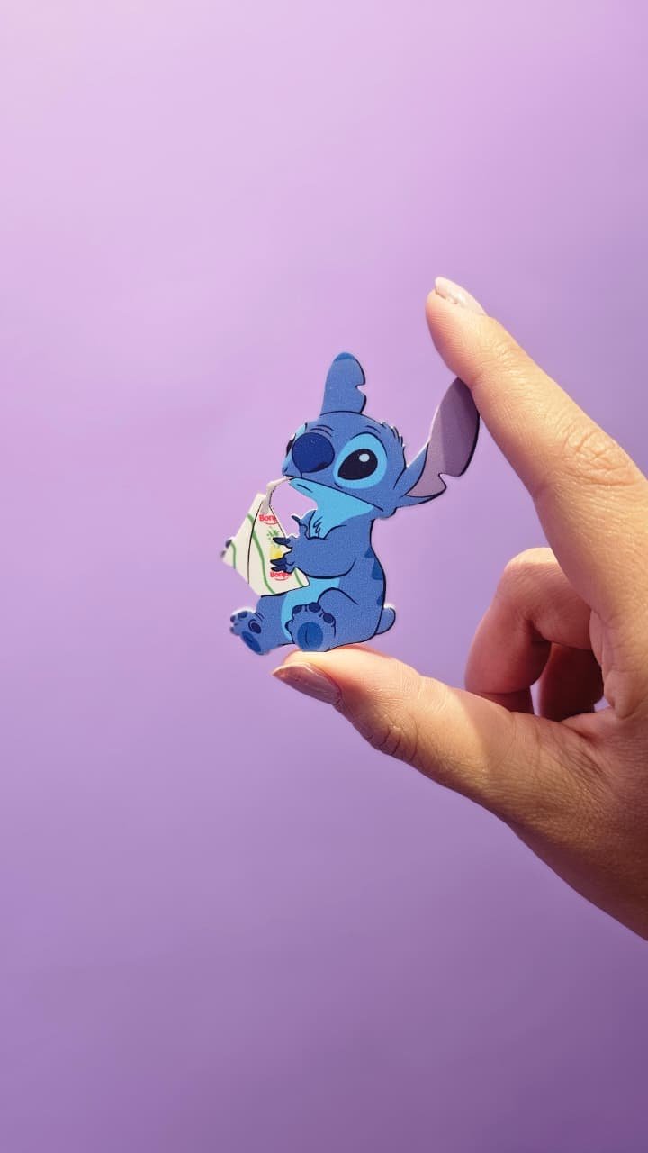 stitch with bonjous